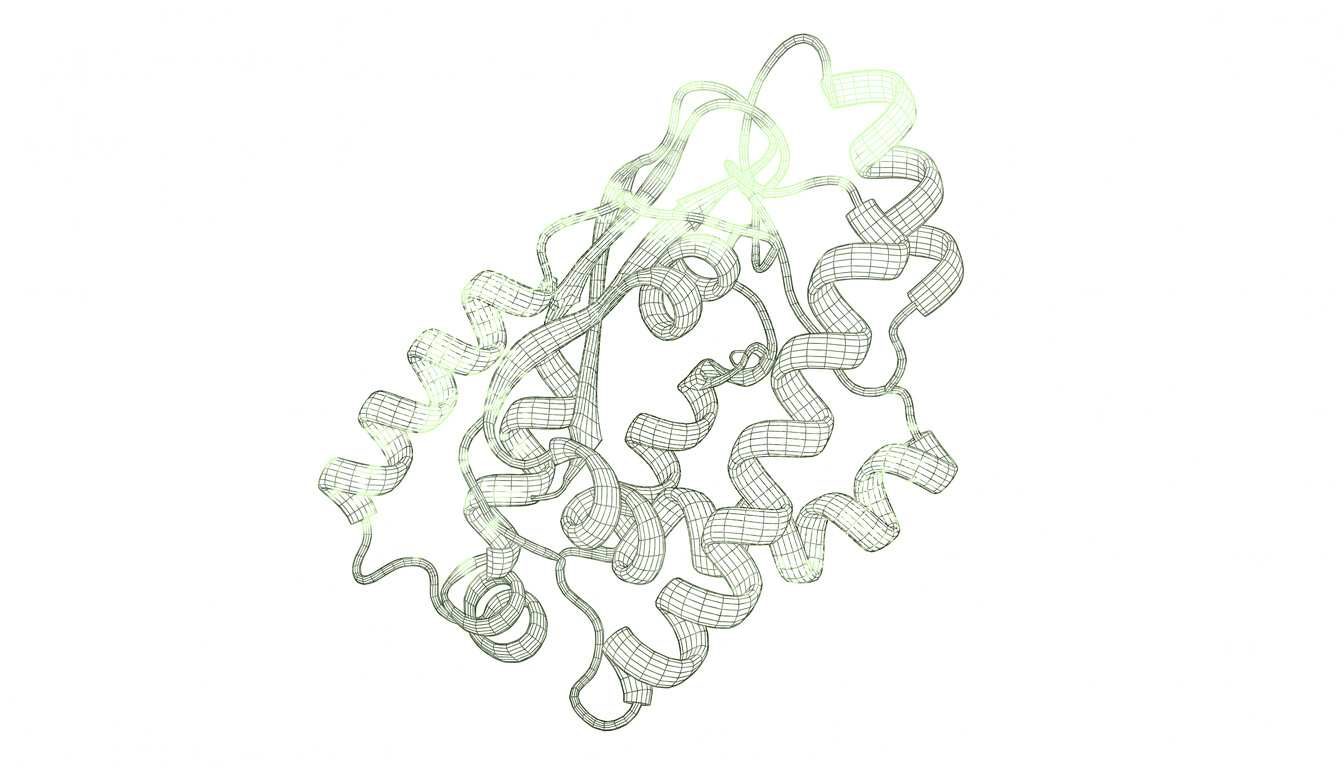 Macro close-up of protein surface topology, extracellular domain receptor binding pocket, fine amino acid residue texture, diffuse light revealing molecular contours and interface geometry