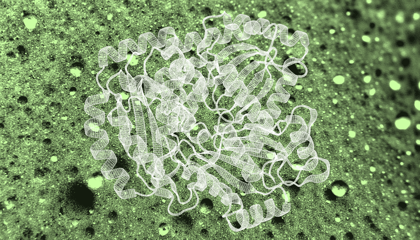 Macro close-up of cyclophilin D protein surface topology, solvent-exposed binding regions outside the catalytic pocket, fine molecular texture, diffuse light revealing surface contours